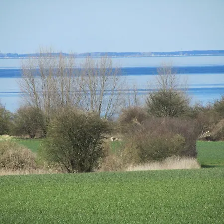 Bolliger 1 Apartament *